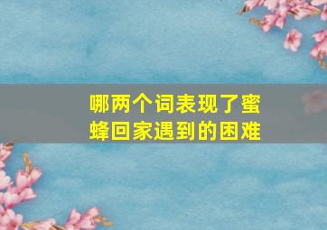 哪两个词表现了蜜蜂回家遇到的困难