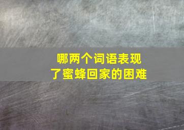 哪两个词语表现了蜜蜂回家的困难