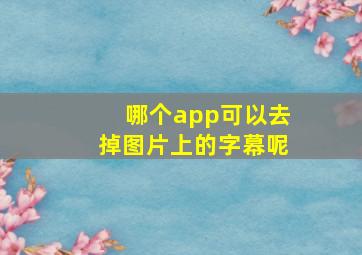 哪个app可以去掉图片上的字幕呢