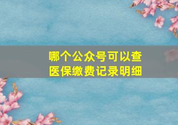 哪个公众号可以查医保缴费记录明细