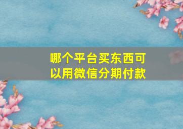 哪个平台买东西可以用微信分期付款