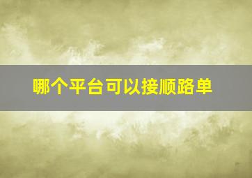 哪个平台可以接顺路单