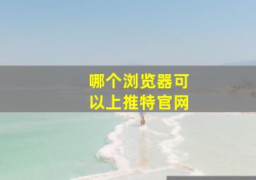 哪个浏览器可以上推特官网