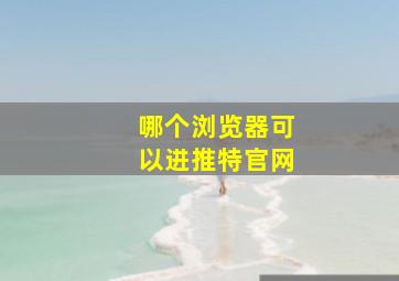 哪个浏览器可以进推特官网