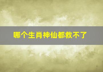 哪个生肖神仙都救不了