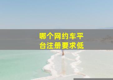 哪个网约车平台注册要求低