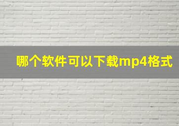 哪个软件可以下载mp4格式