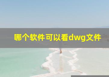 哪个软件可以看dwg文件