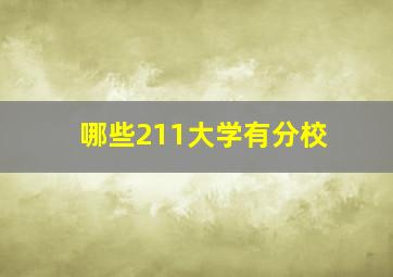 哪些211大学有分校