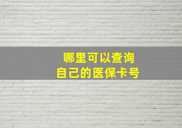 哪里可以查询自己的医保卡号