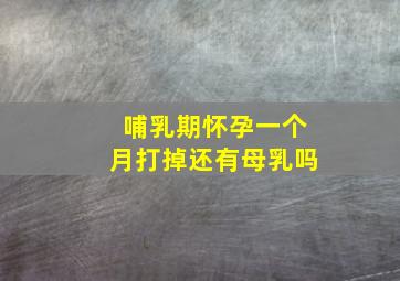 哺乳期怀孕一个月打掉还有母乳吗