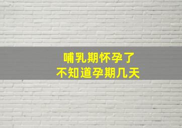 哺乳期怀孕了不知道孕期几天