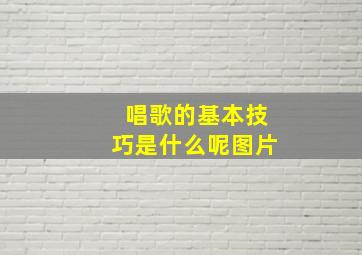 唱歌的基本技巧是什么呢图片