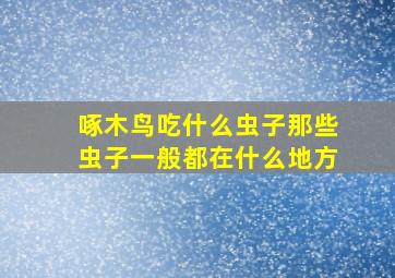 啄木鸟吃什么虫子那些虫子一般都在什么地方