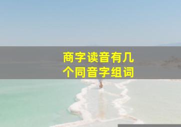 商字读音有几个同音字组词