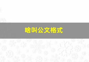 啥叫公文格式