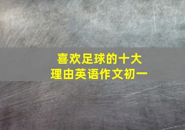 喜欢足球的十大理由英语作文初一