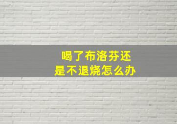 喝了布洛芬还是不退烧怎么办