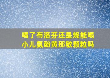 喝了布洛芬还是烧能喝小儿氨酚黄那敏颗粒吗