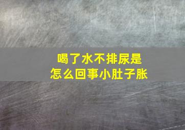 喝了水不排尿是怎么回事小肚子胀