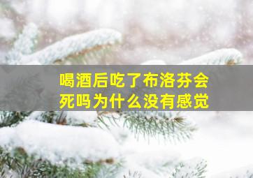 喝酒后吃了布洛芬会死吗为什么没有感觉