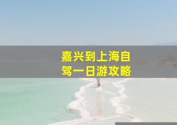 嘉兴到上海自驾一日游攻略