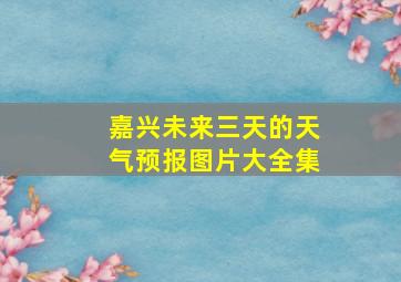 嘉兴未来三天的天气预报图片大全集