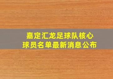 嘉定汇龙足球队核心球员名单最新消息公布