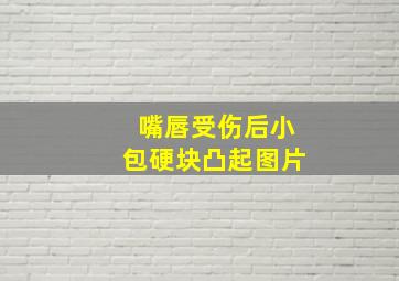 嘴唇受伤后小包硬块凸起图片