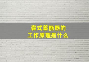 囊式蓄能器的工作原理是什么