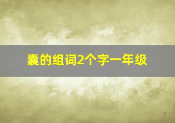 囊的组词2个字一年级