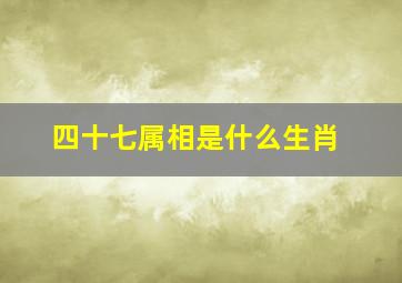 四十七属相是什么生肖