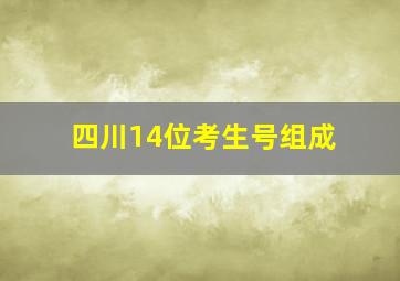 四川14位考生号组成