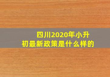 四川2020年小升初最新政策是什么样的