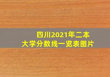 四川2021年二本大学分数线一览表图片