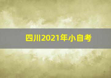 四川2021年小自考