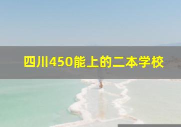 四川450能上的二本学校