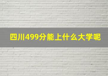 四川499分能上什么大学呢