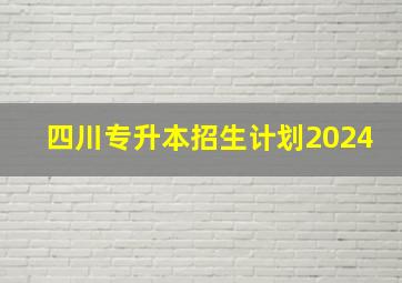 四川专升本招生计划2024