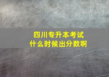 四川专升本考试什么时候出分数啊