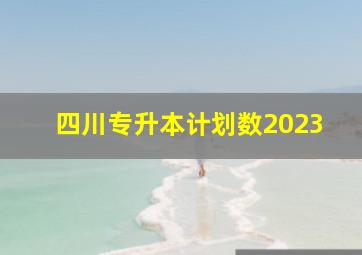 四川专升本计划数2023