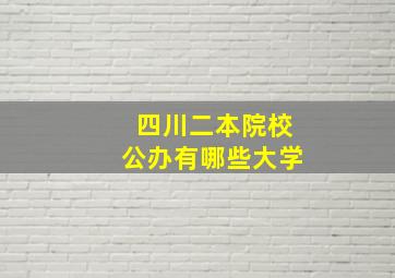 四川二本院校公办有哪些大学