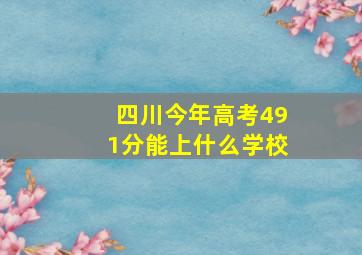 四川今年高考491分能上什么学校