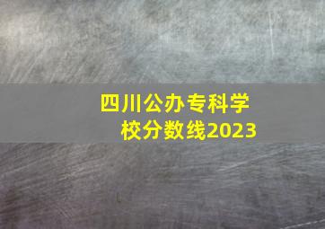 四川公办专科学校分数线2023