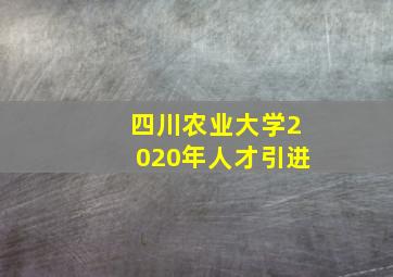 四川农业大学2020年人才引进