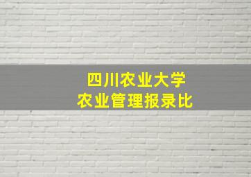 四川农业大学农业管理报录比