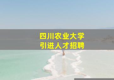 四川农业大学引进人才招聘