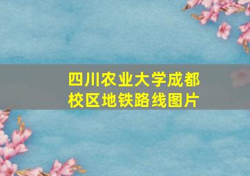 四川农业大学成都校区地铁路线图片