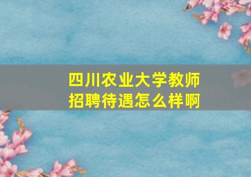 四川农业大学教师招聘待遇怎么样啊