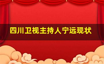 四川卫视主持人宁远现状